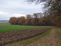 Bündnis Mensch und Natur e.V.